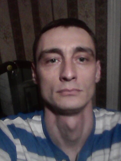 ���� 8795382 ������� Arhi, 40 ���, ���� ���������� � �������