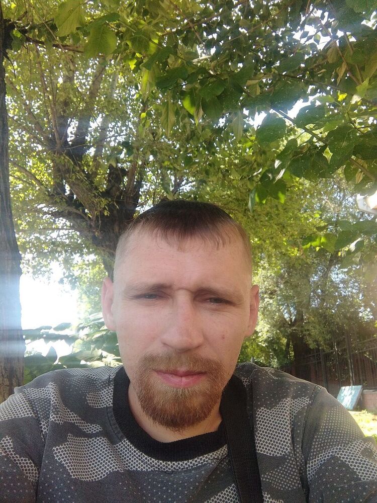  41872572  , 37 ,    -
