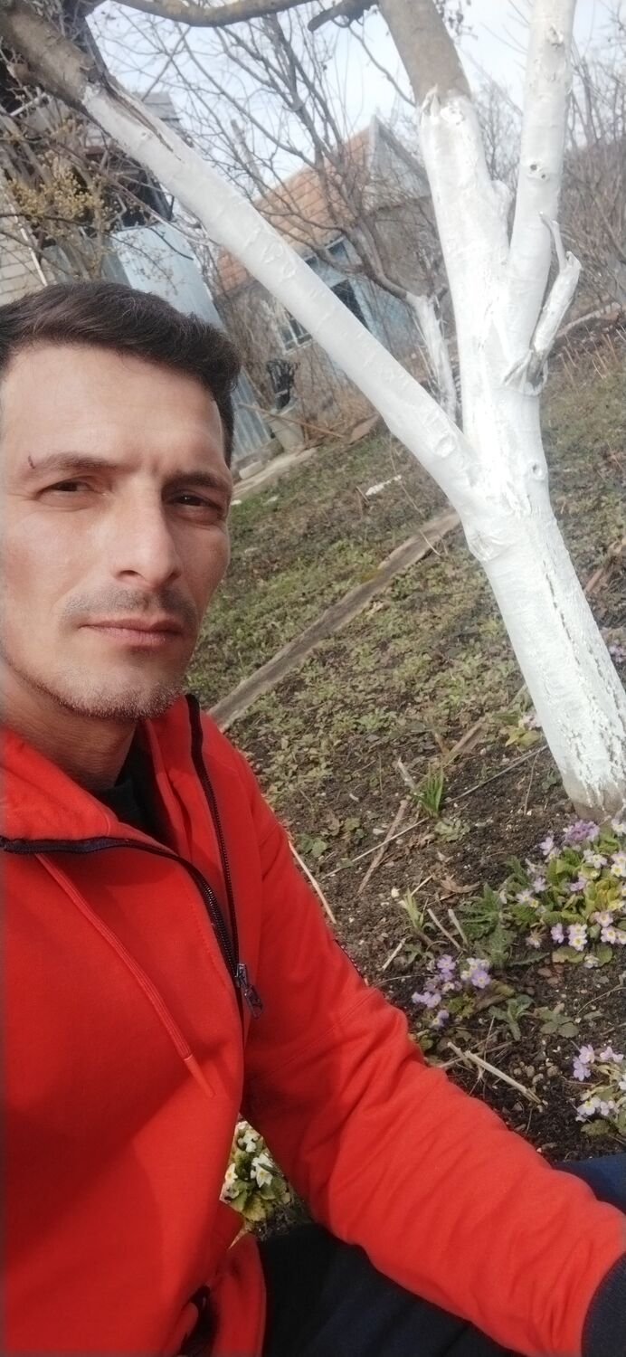  25832752  , 43 ,     