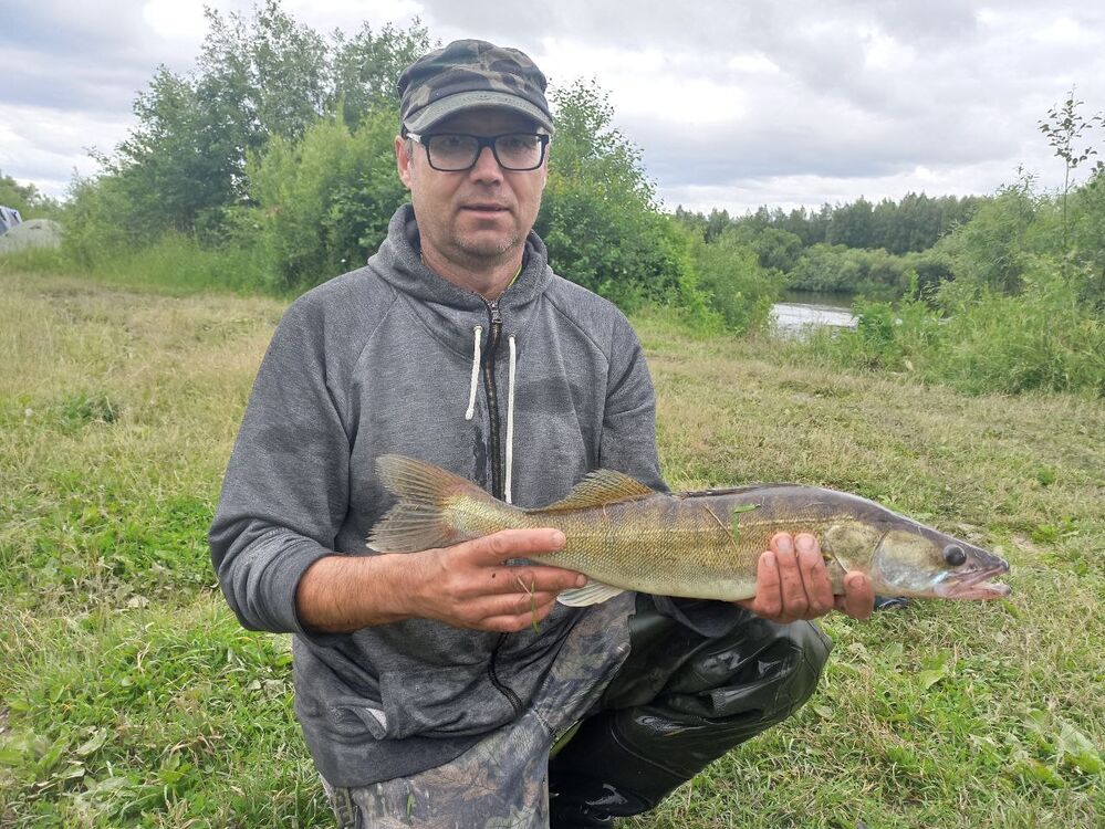 ���� 55285032 ������� ������, 53 ����, ���� ���������� � ���������