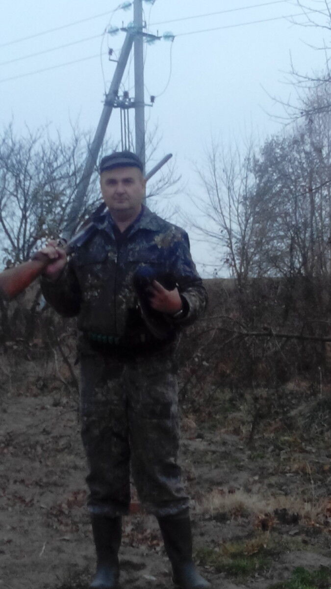 ���� 5356982 ������� �����, 50 ���, ���� ���������� � �������