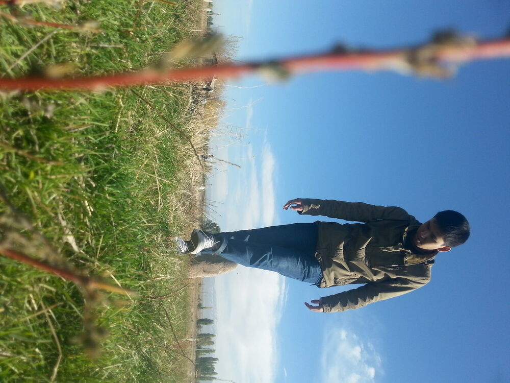 ���� 5209572 ������� Inko, 30 ���, ���� ���������� � �������