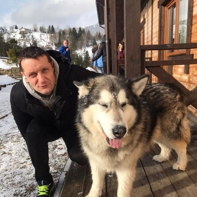 ���� 35816432 ������� ����, 43 ����, ���� ���������� � �����