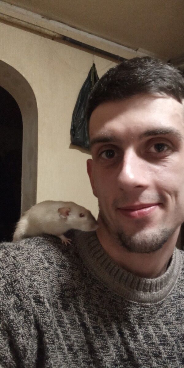 ���� 18817762 ������� ���������, 28 ���, ���� ���������� � ��������