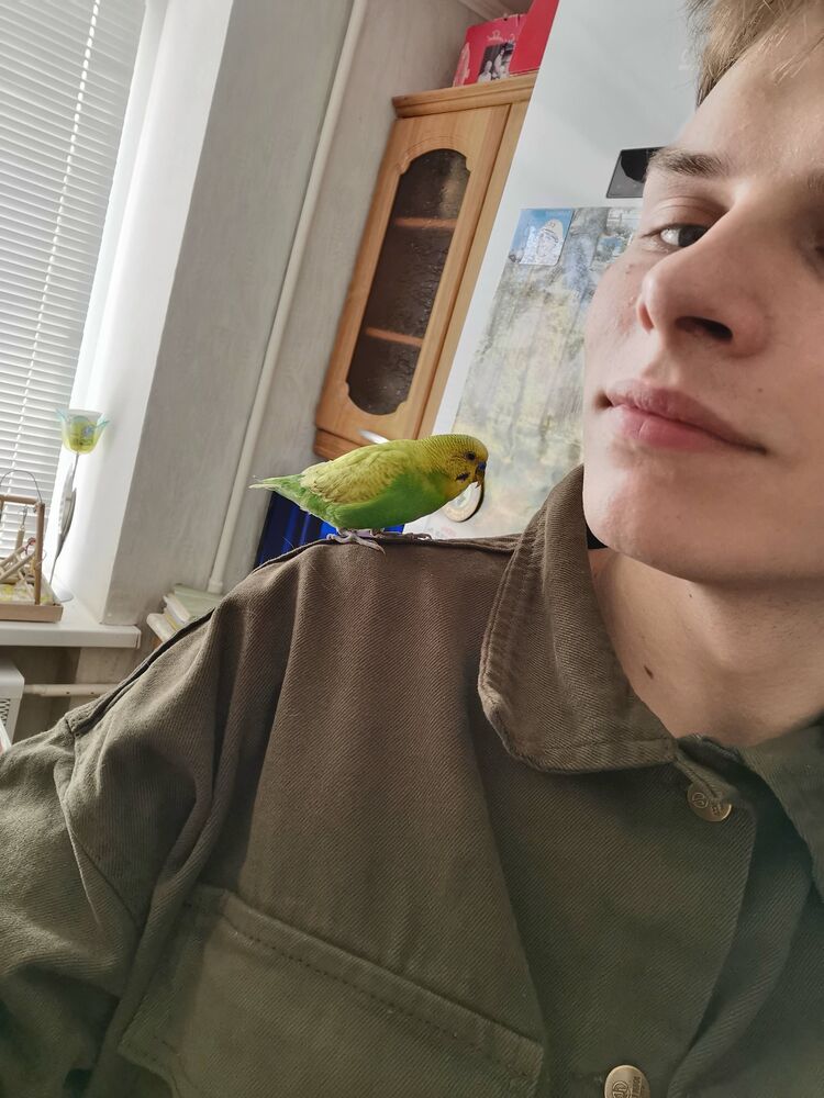 ���������� �����, ���� ����� �����, 24 ����, ������������ ��� ������, ����� � ���������