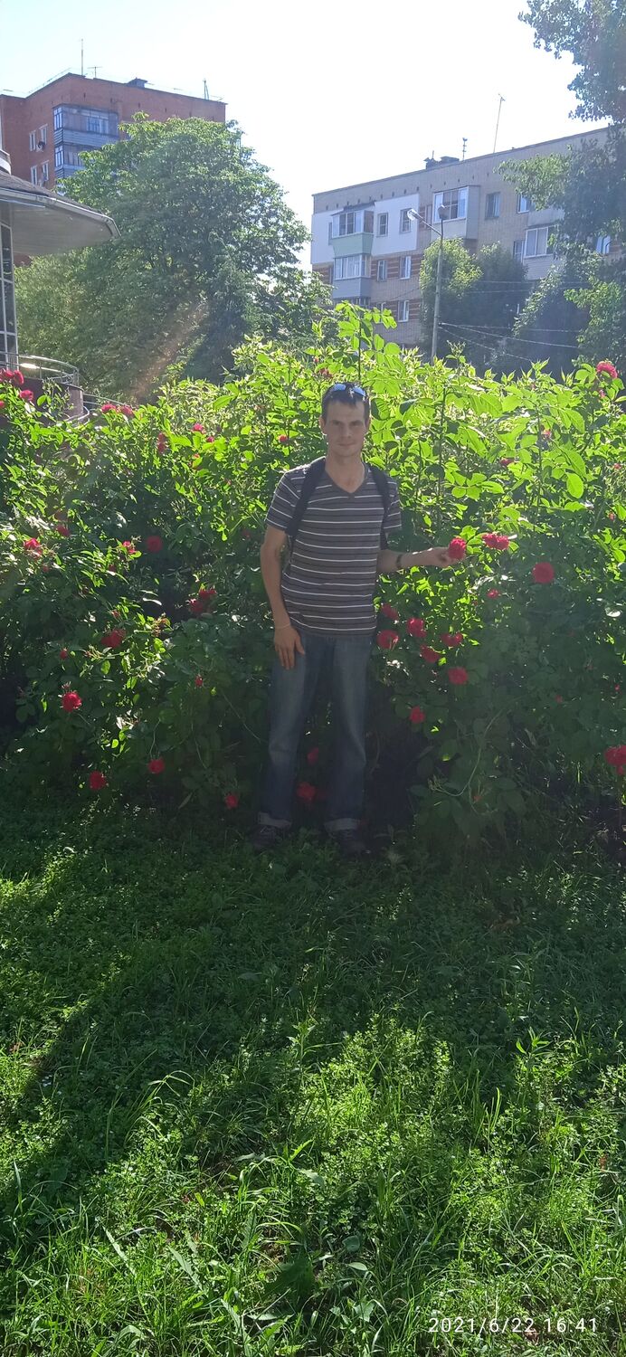 ���� 23595212 ������� ����, 34 ����, ���� ���������� � ����