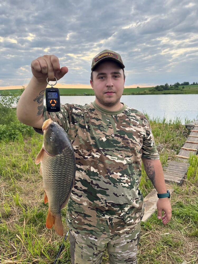 ���� 55132342 ����� ������, 25 ���, ���� ���������� � ��������