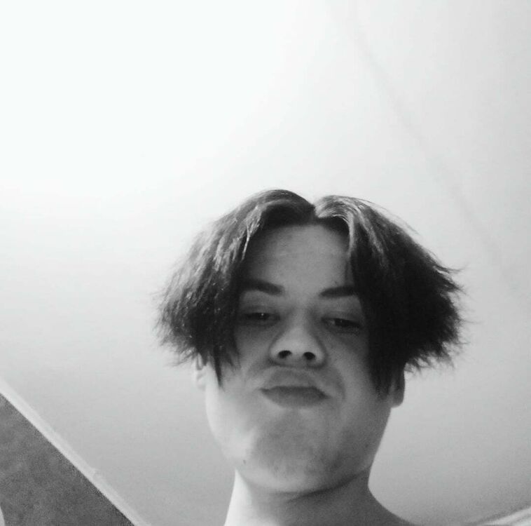 ���� 50249252 ����� ������, 20 ���, ���� ���������� � ������������