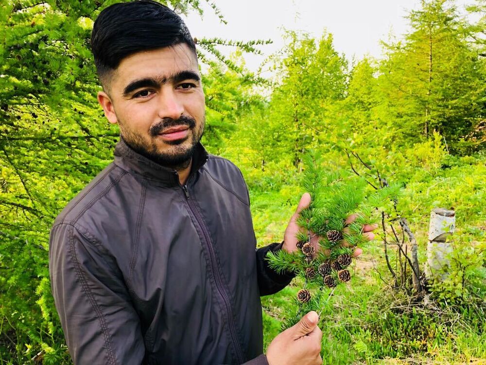  29548562  , 37 ,    -