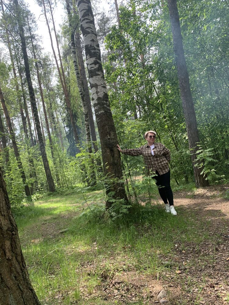  52273792  , 53 ,    -