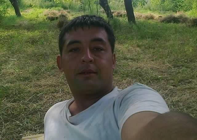  ,   , 43 ,   