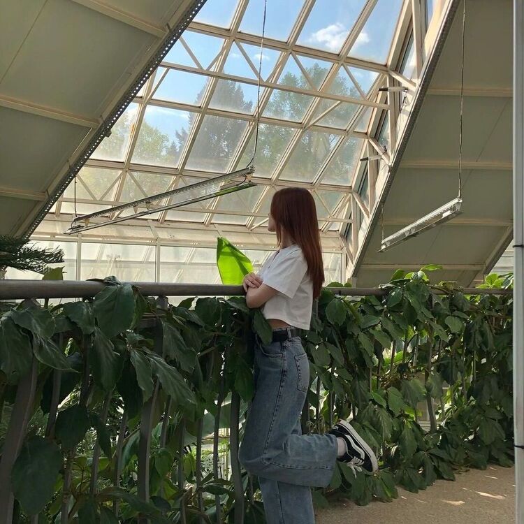 ���������� �����, ���� ������� ����, 20 ���, ������������ ��� ������, ����� � ���������, ���������