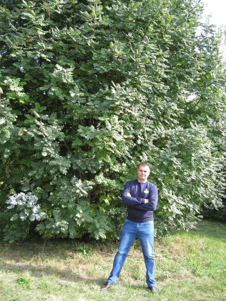 ���������� �����������, ���� ������� �������, 50 ���, ������������ ��� ������, ����� � ���������, c�������� ���������