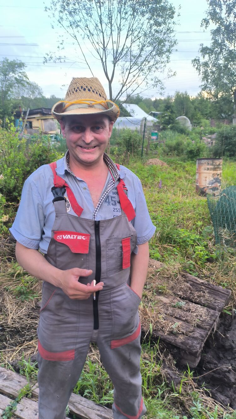 ���� 55595112 ������� �������, 46 ���, ���� ���������� � �����-����������