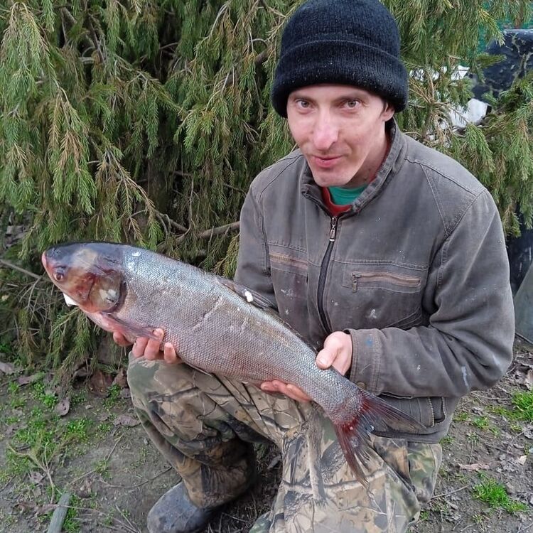 ���� 44373502 ������� ������, 35 ���, ���� ���������� � ����������