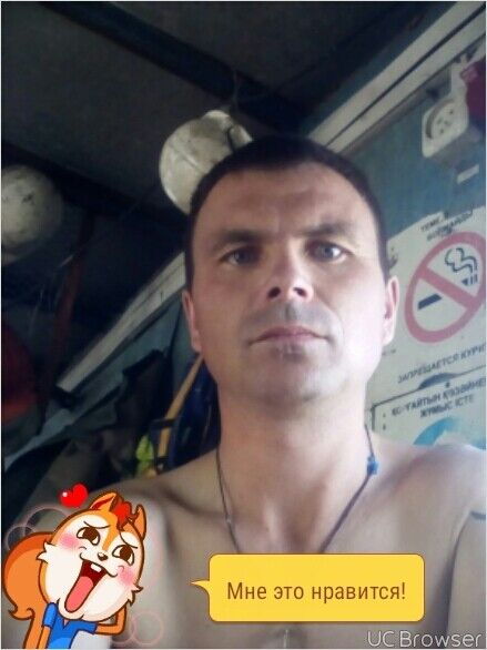  -,   , 44 ,   