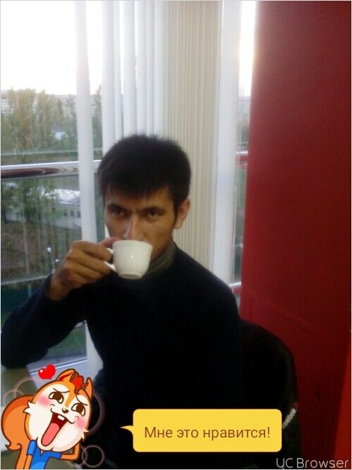  8215232  , 37 ,    -