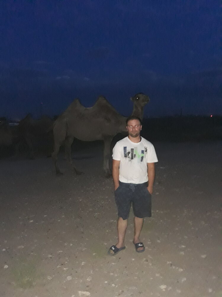  16854942  Giorgi, 33 ,    