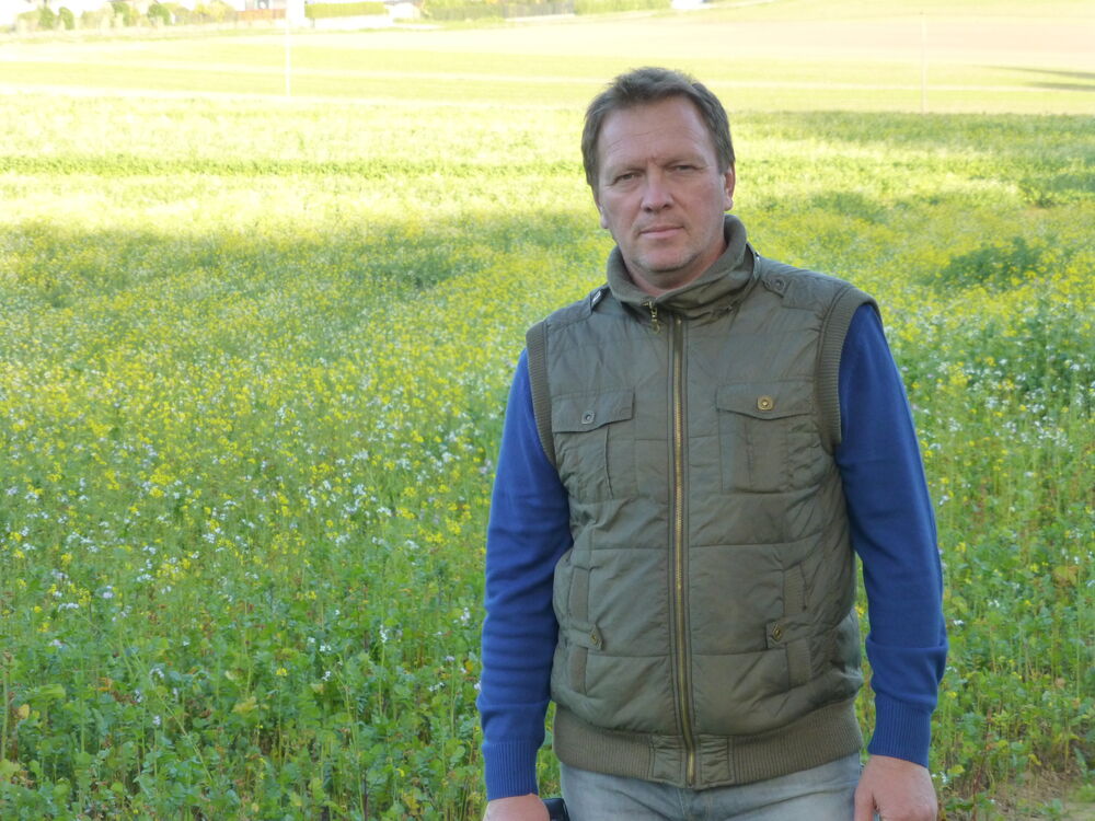 ���� 55323792 ������� ����, 60 ���, ���� ���������� � ������������