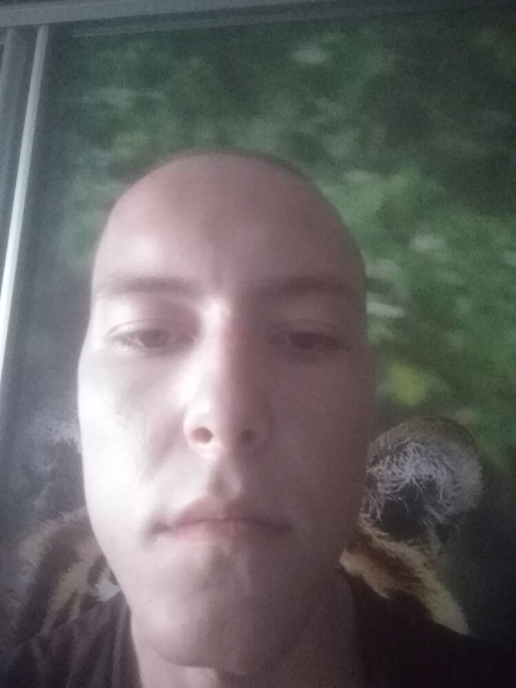  37341752  , 28 ,    