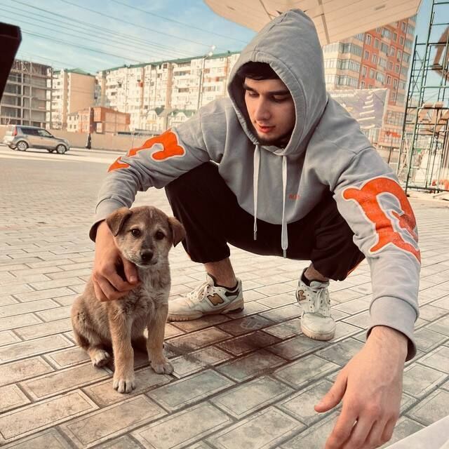 ���� 41854532 ����� �����, 22 ����, ���� ���������� � �����������