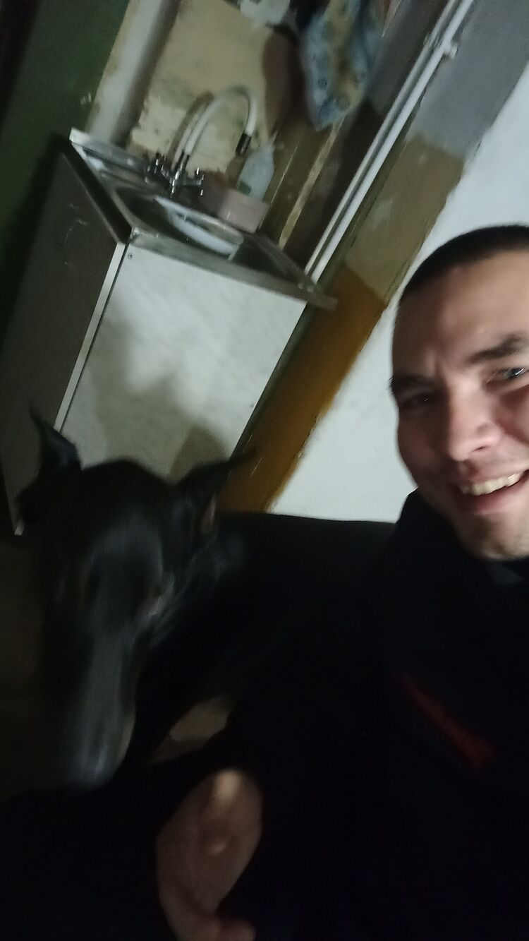 ���� 40328122 ������� �������, 32 ����, ���� ���������� � ������