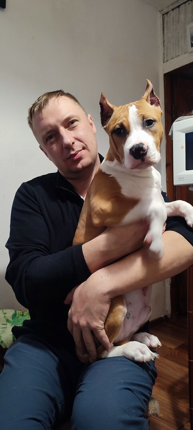 ���������� ������ ��������, ���� ������� Andrey, 39 ���, ������������ ��� ������, ����� � ���������