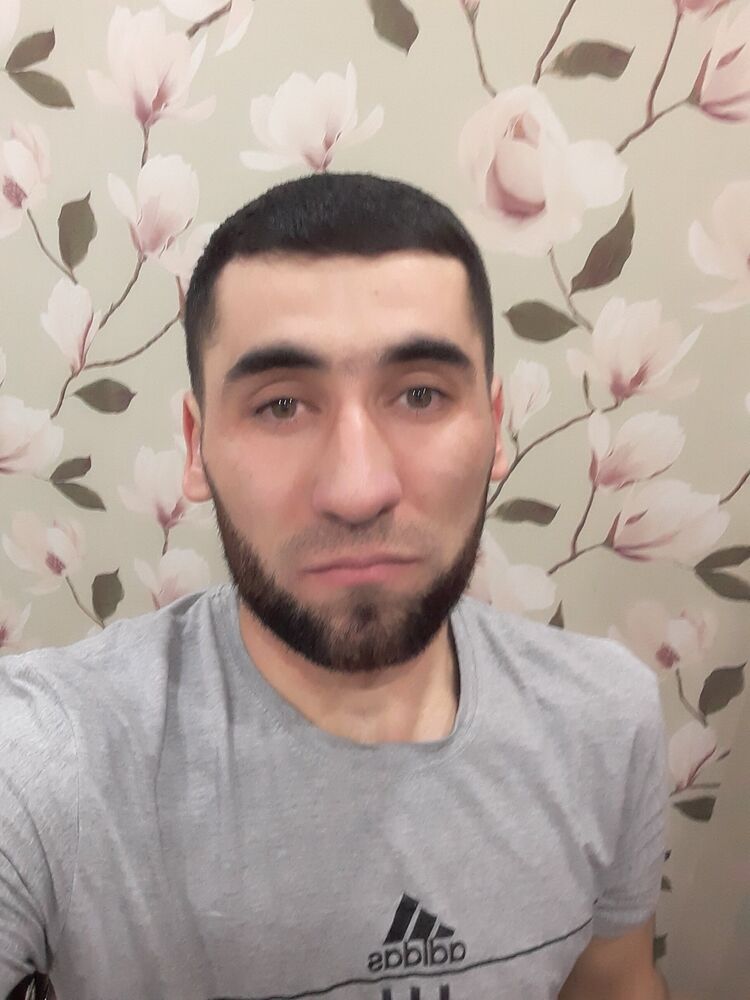  33582372  , 33 ,    