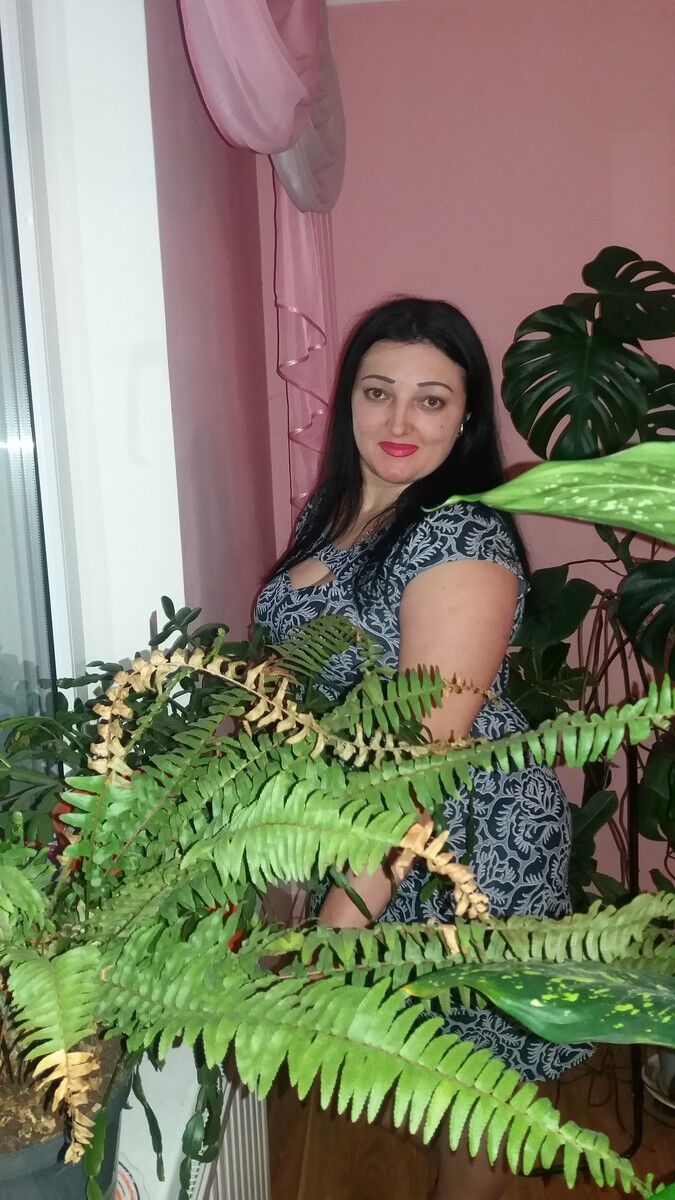 ���� 9300992 ������� �����, 42 ����, ���� ���������� � ���������