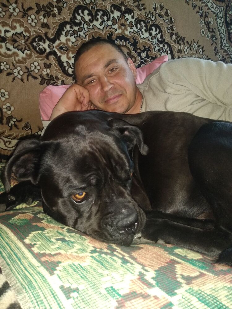  31002582  Dimon, 42 ,    