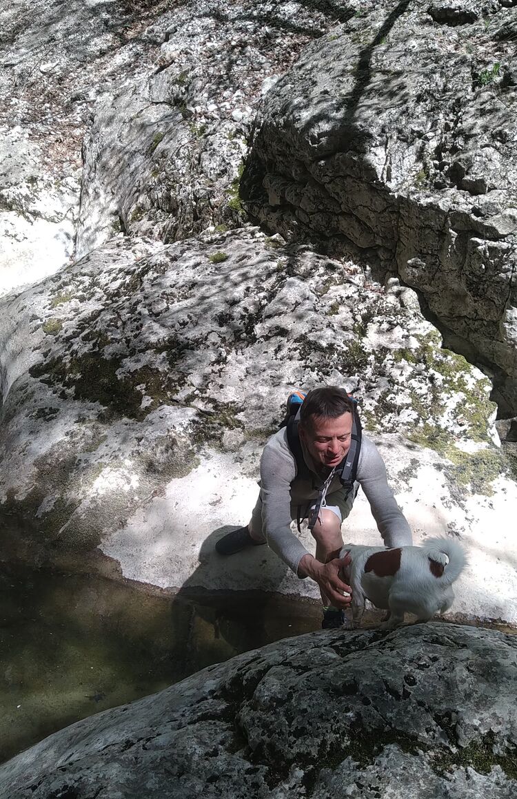 ���������� ������, ���� ������� ���������, 44 ����, ������������ ��� ������, ����� � ���������, c�������� ���������