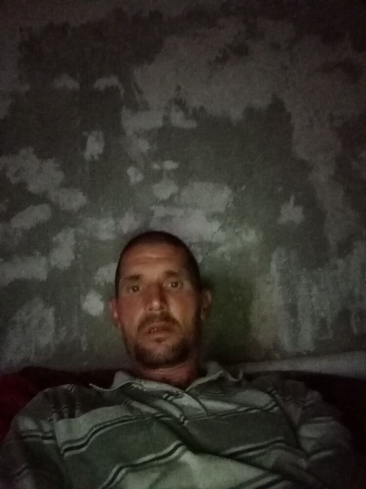 46122982  , 43 ,    
