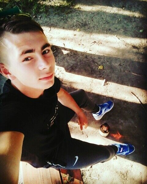  13087682  , 29 ,    