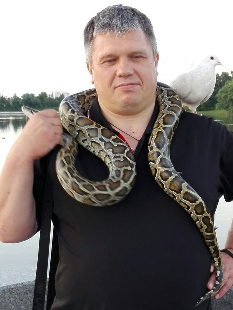  ,   , 55 ,   c 