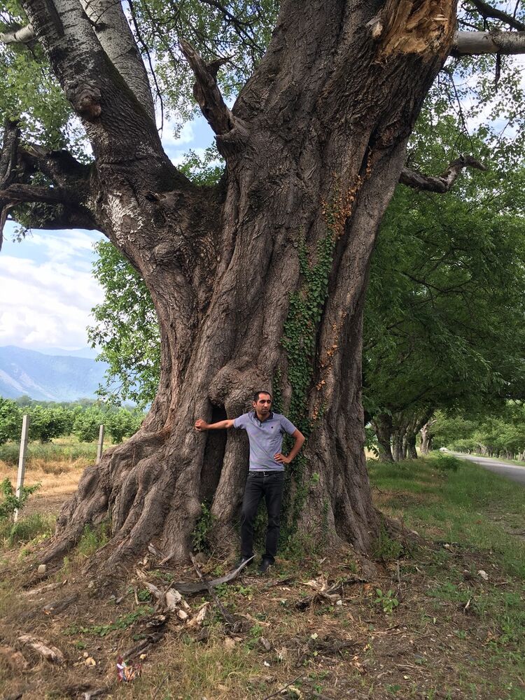  ,   Fizo, 39 ,   ,   , c 