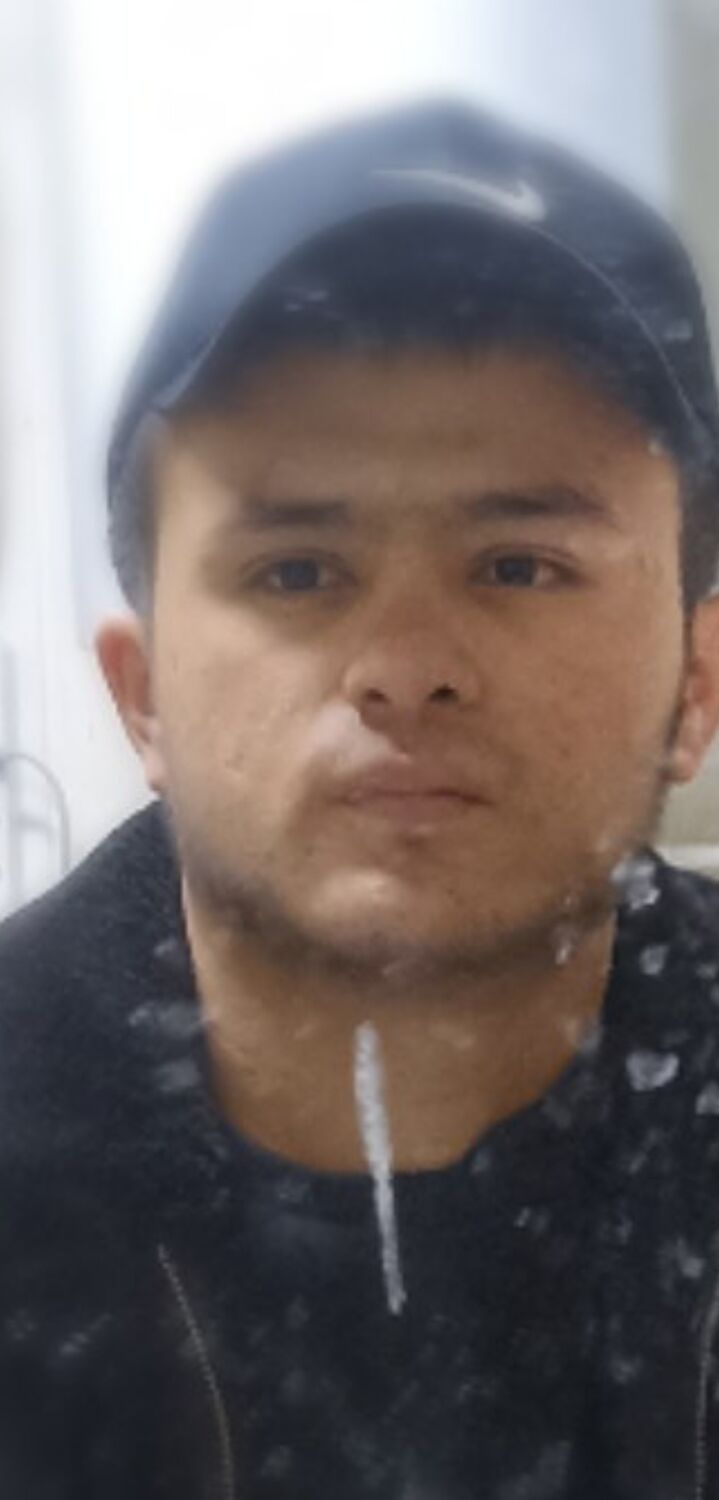  33569702  , 24 ,    