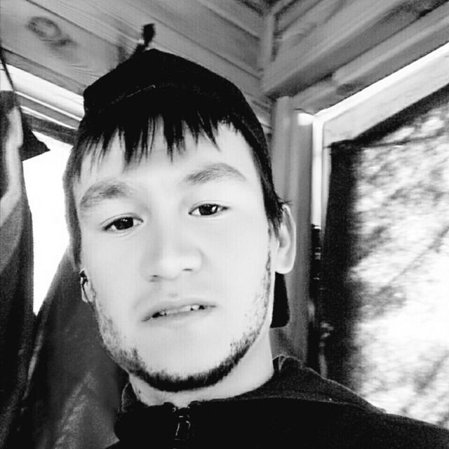  31282392  , 31 ,    -