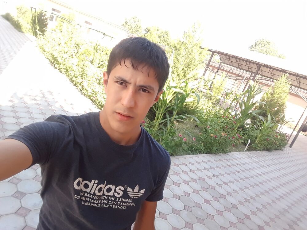  ,   , 33 ,   