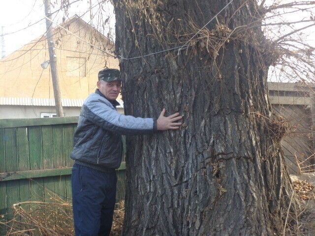 ���� 11867112 ������� ������, 61 ���, ���� ���������� � ������