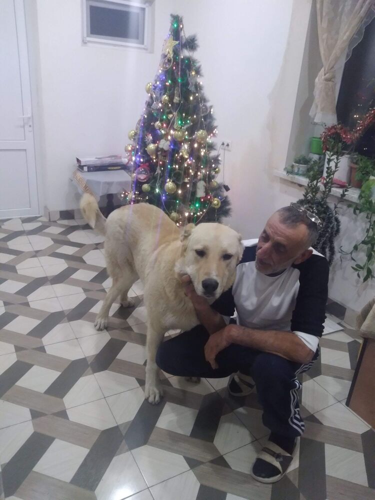  49735642  , 57 ,    Nepasice