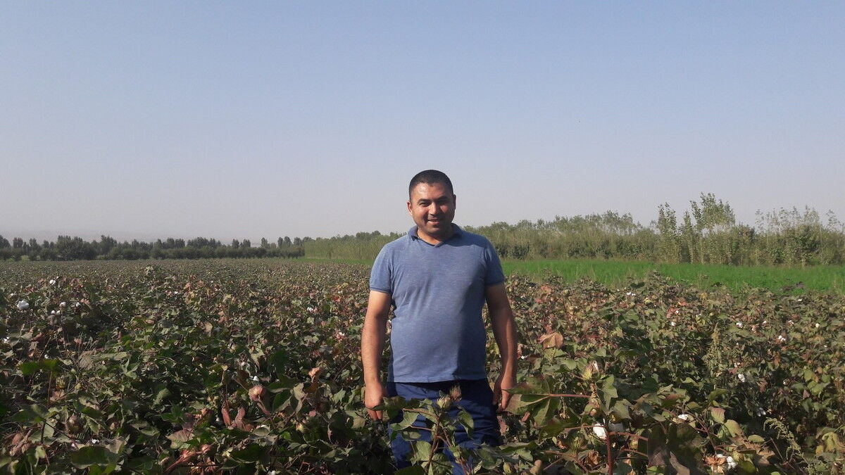 ���� 11030782 ������� �����, 50 ���, ���� ���������� � �������