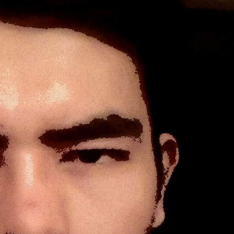 ���� 24988052 ������� ���������, 33 ����, ���� ���������� � ���������