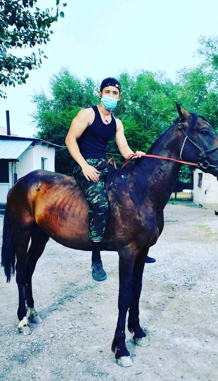 ���������� ������, ���� ������� �����, 27 ���, ������������ ��� ������, ����� � ���������