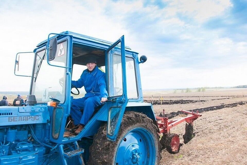 ���������� ���������, ���� ������� �����, 36 ���, ������������ ��� ������, ����� � ���������, c�������� ���������