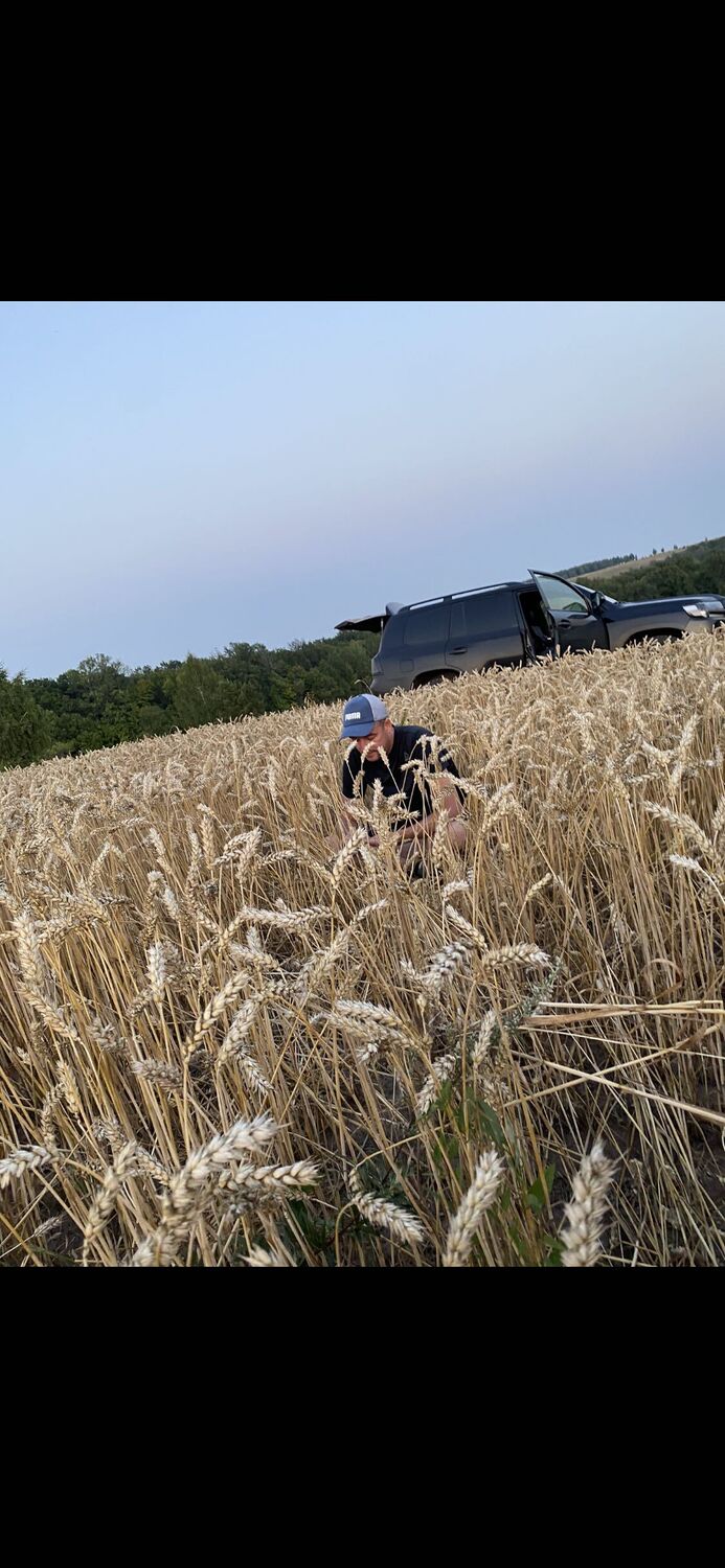 ���������� ������, ���� ������� ����, 41 ���, ������������ ��� ������, ����� � ���������, c�������� ���������