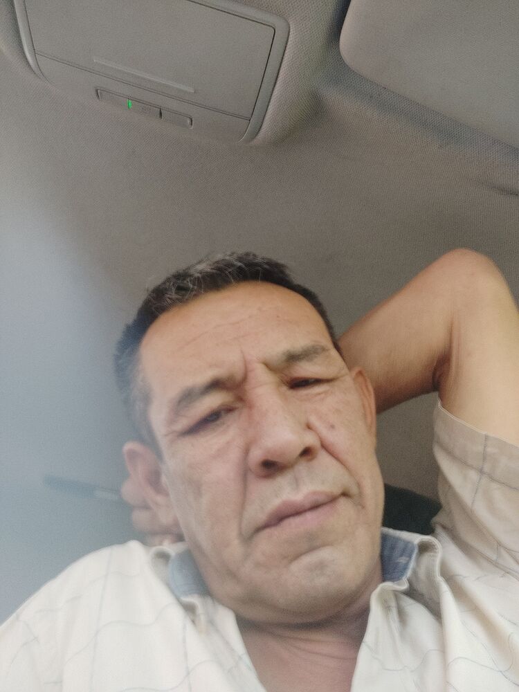  48223812  , 55 ,    