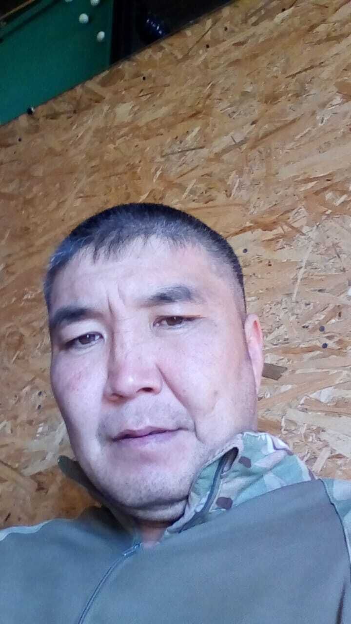  42328042  , 36 ,    