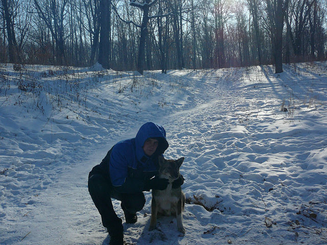 ���������� �����������, ���� ������� �������, 37 ���, ������������ ��� ������, ����� � ���������, c�������� ���������