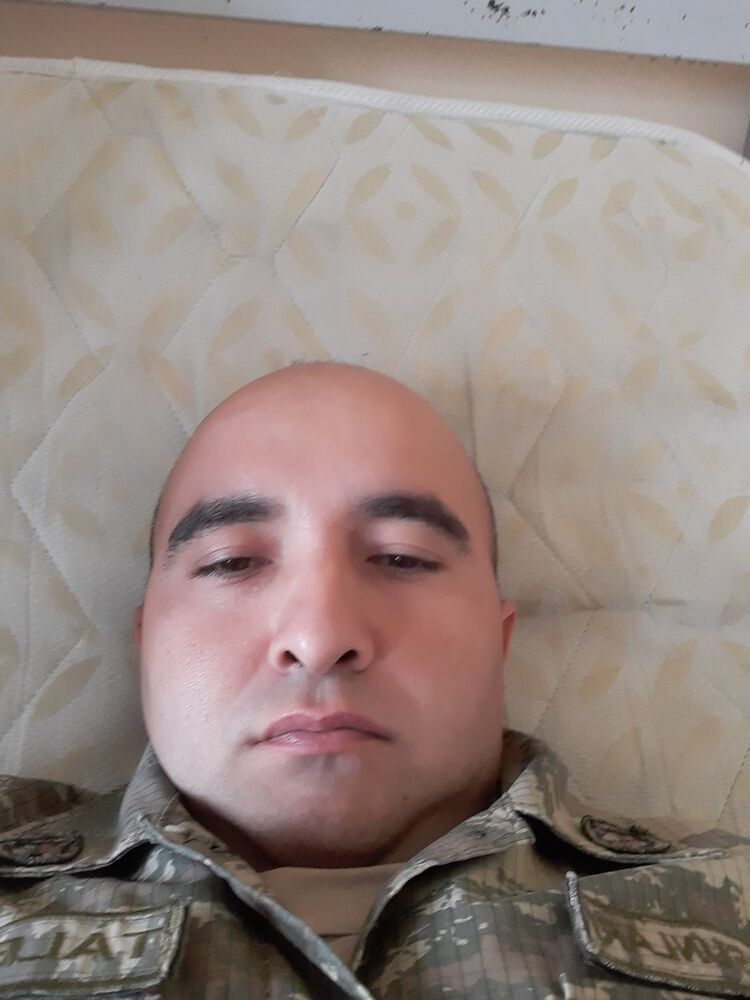 ���� 17569752 ������� Taleh, 41 ���, ���� ���������� � ����