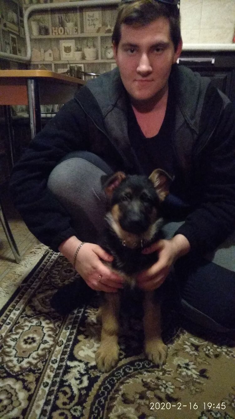 ���� 24080772 ������� �����, 26 ���, ���� ���������� � �������